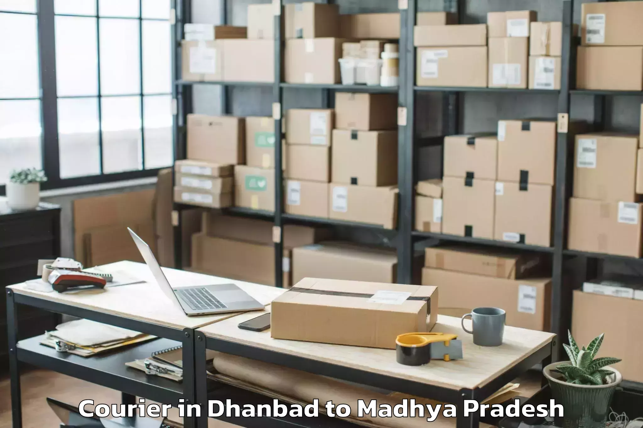 Quality Dhanbad to Raghogarh Vijaypur Courier